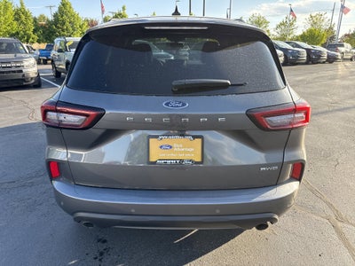 2023 Ford Escape ST-Line