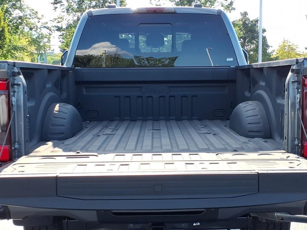 2025 Ford F-250SD Platinum