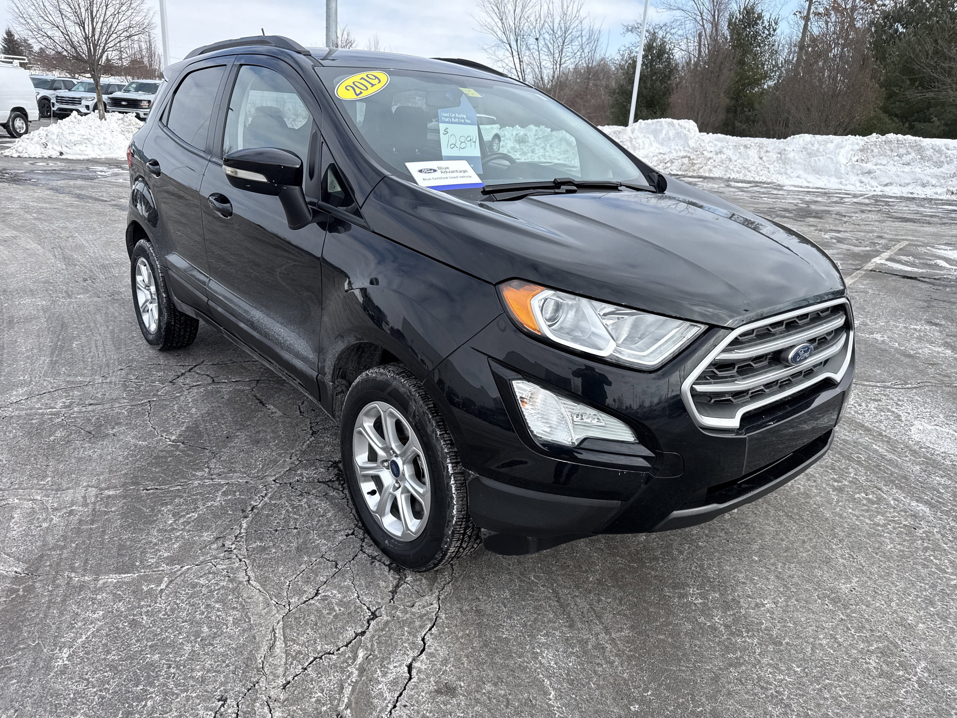 2019 Ford EcoSport SE